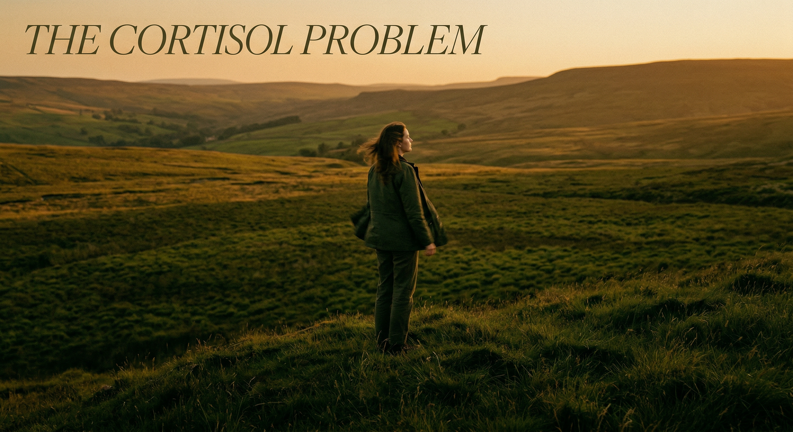 The Cortisol Problem — Why Stress Is Aging You Faster Than You Think